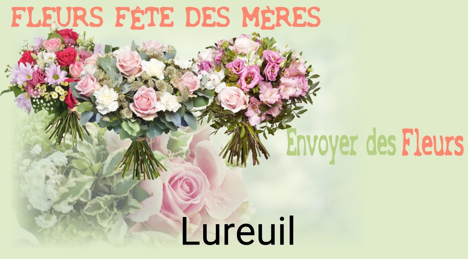 Bouquet de Fête des Mères livré à Lureuil